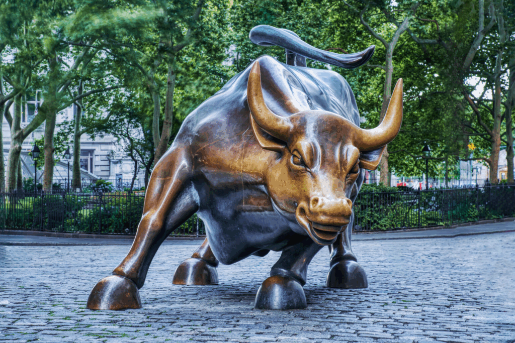 image - Trade Info Burza, NYSE