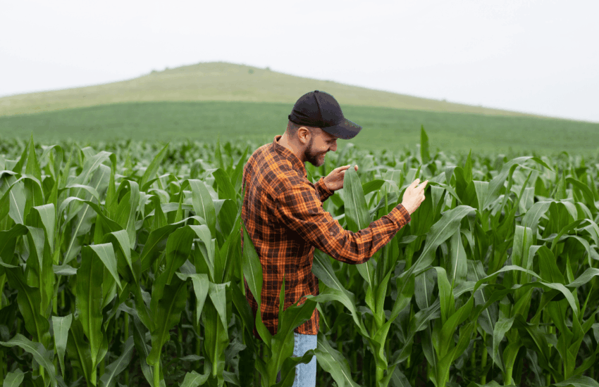 Agro. Zdroj fotky: Canva.com